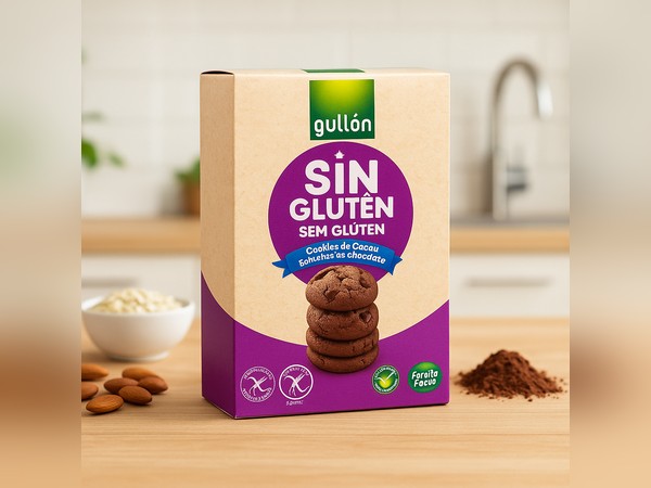 Galletas de chocolate Gullón